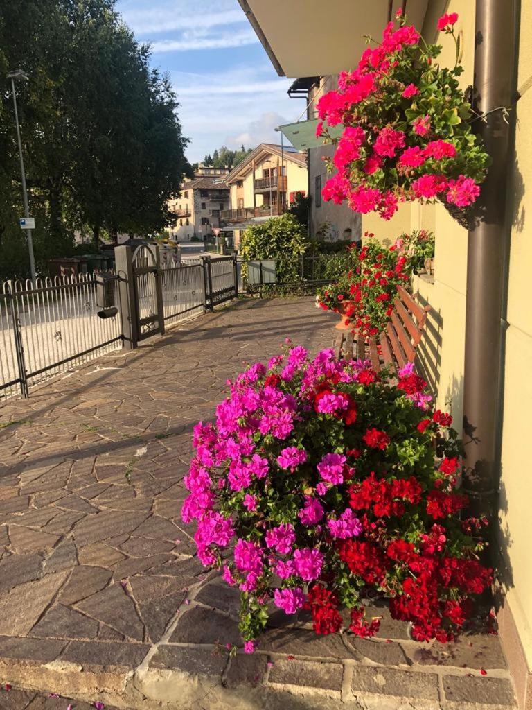 Appartamento Luminoso, Giardino, Vista Dolomiti. Baselga di Pinè Exteriör bild